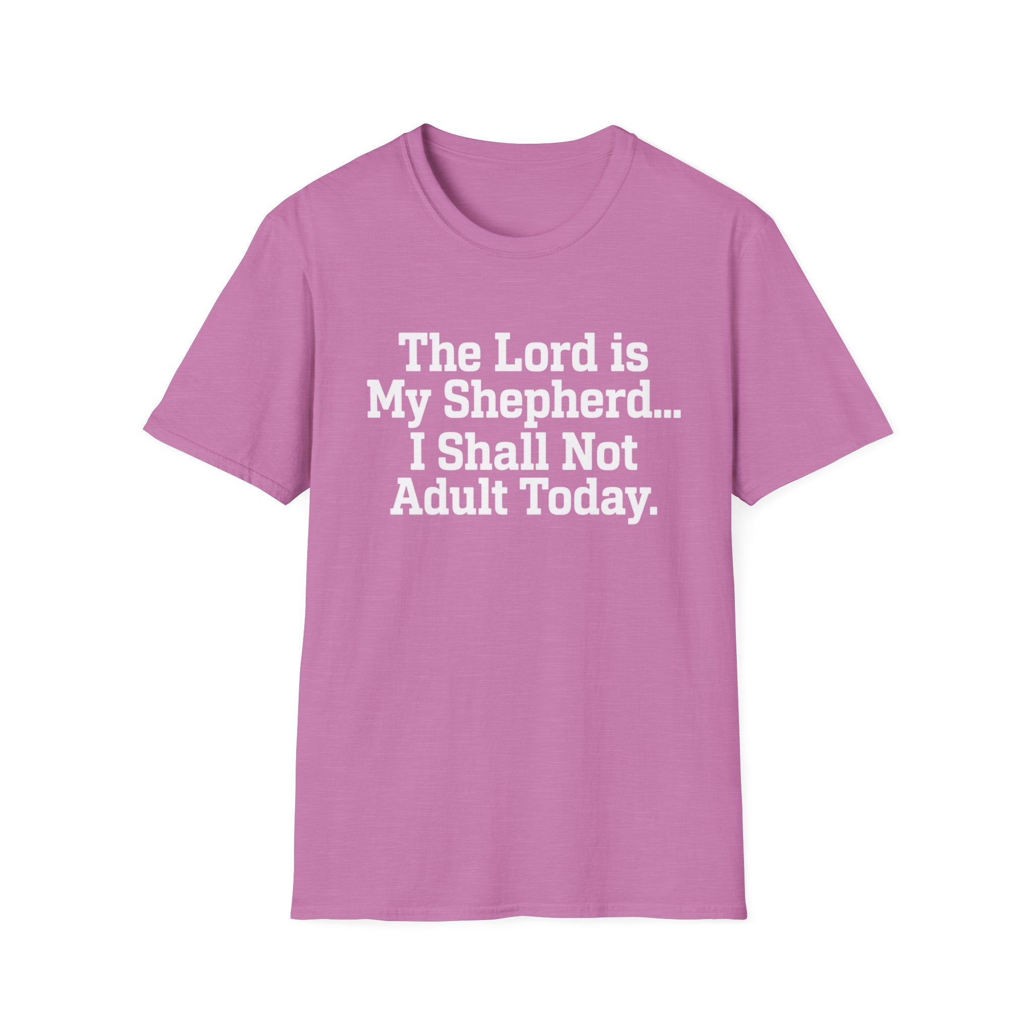 I Shall Not Adult Today T-Shirt